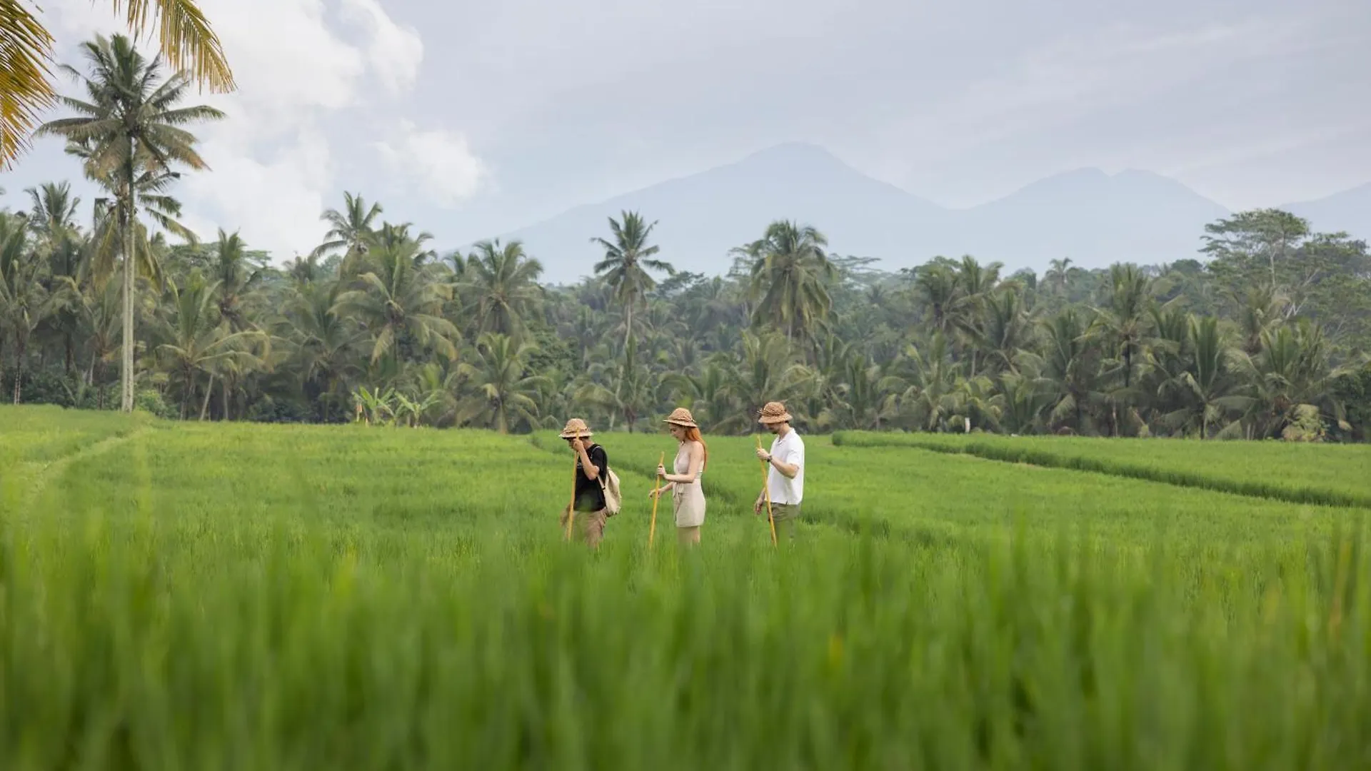 Santris Villas By Pramana Villas Ubud  0*, Ubud (Bali) Indonesia