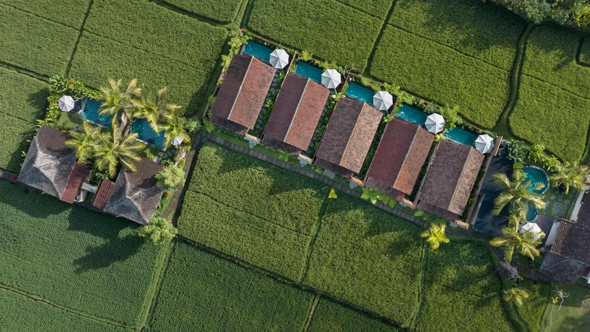 Santris Villas By Pramana Villas Ubud